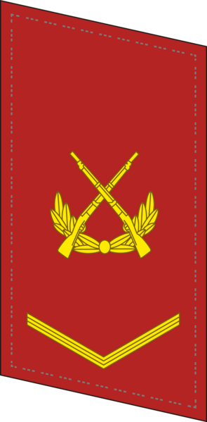 File:CAPF-Collar-0703-CPL.png