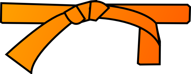 File:Ceinture orange.png