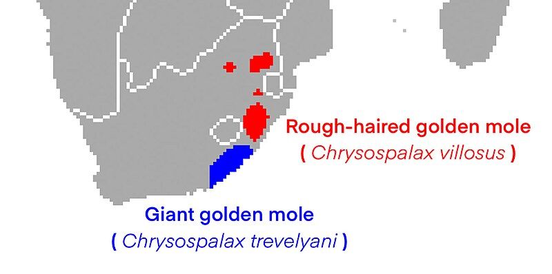 File:Chrysospalax Range.jpg