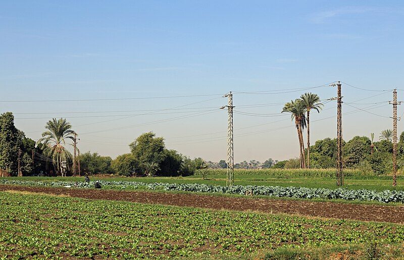 File:Egyptian Countryside R06.jpg