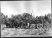 Horse drawn wagon loaded with timber