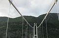 View looking up while crossing