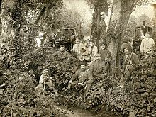 A group of soldiers in a forest