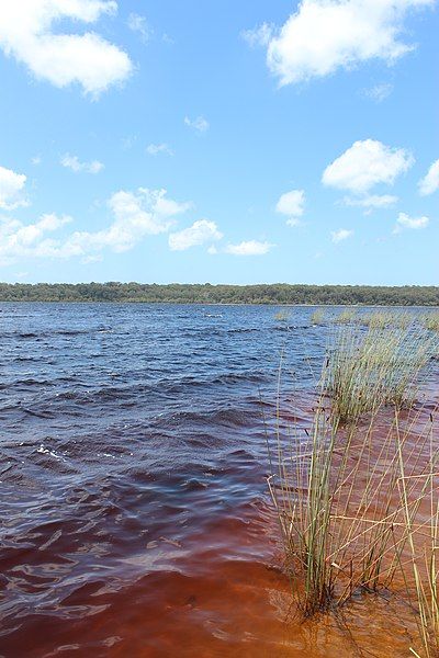 File:Lake Boomanjin water.jpg