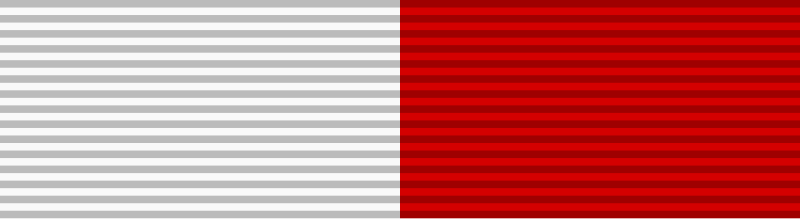 File:Livgrenadjärregementets minnesmedalj.svg