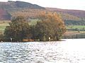 Llangorse Lake