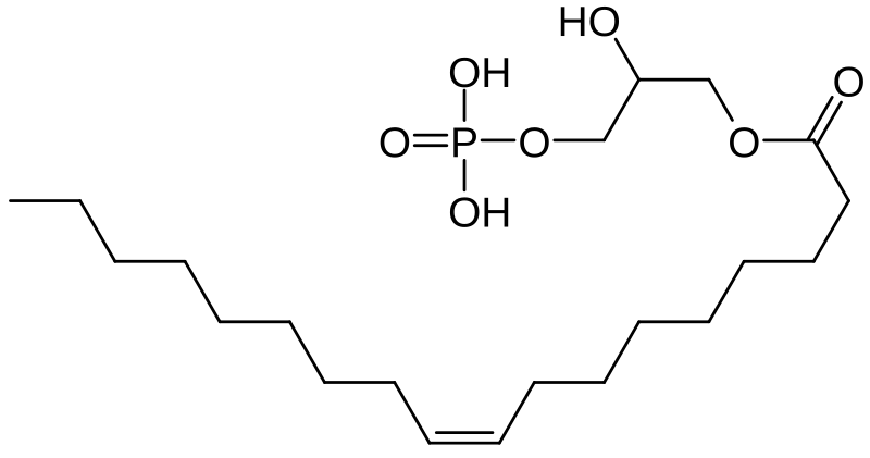 File:Lysophosphatidic acid.svg