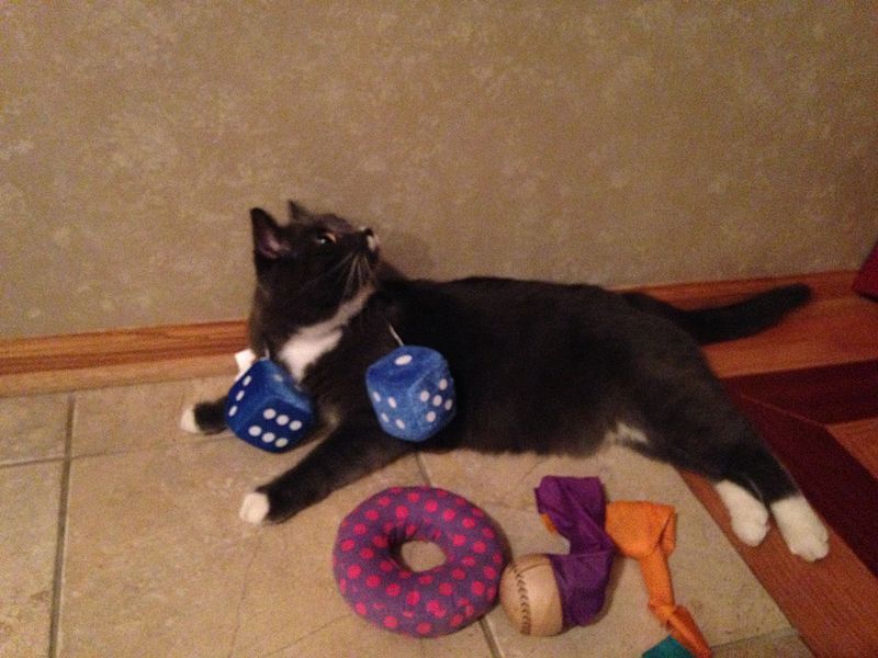 File:Mikey with dice.jpg