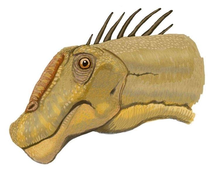 File:Nemegtosaurus DB.jpg