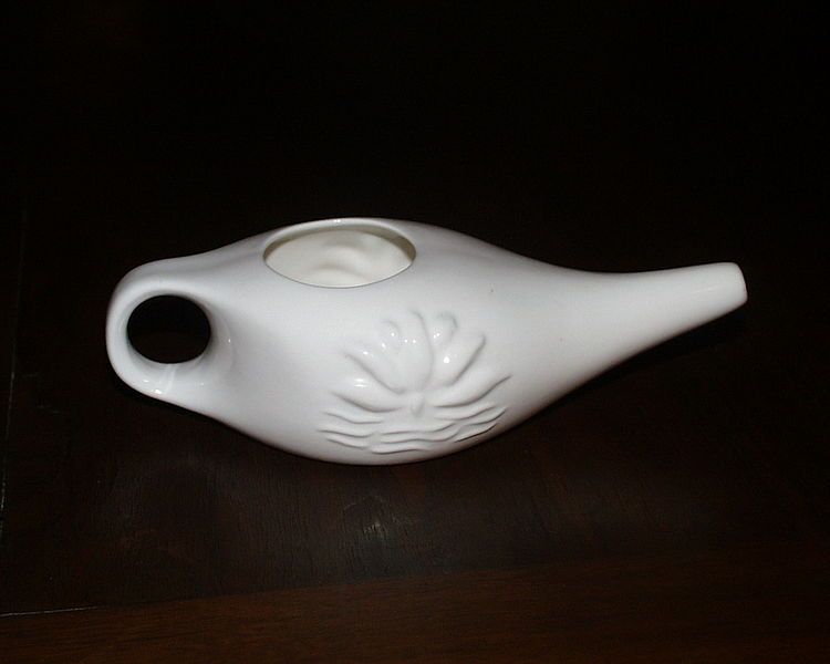 File:Neti pot.jpg