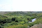 Creek covered with vegetation