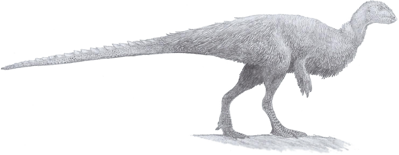 File:Orodromeus (pencil 2013).png