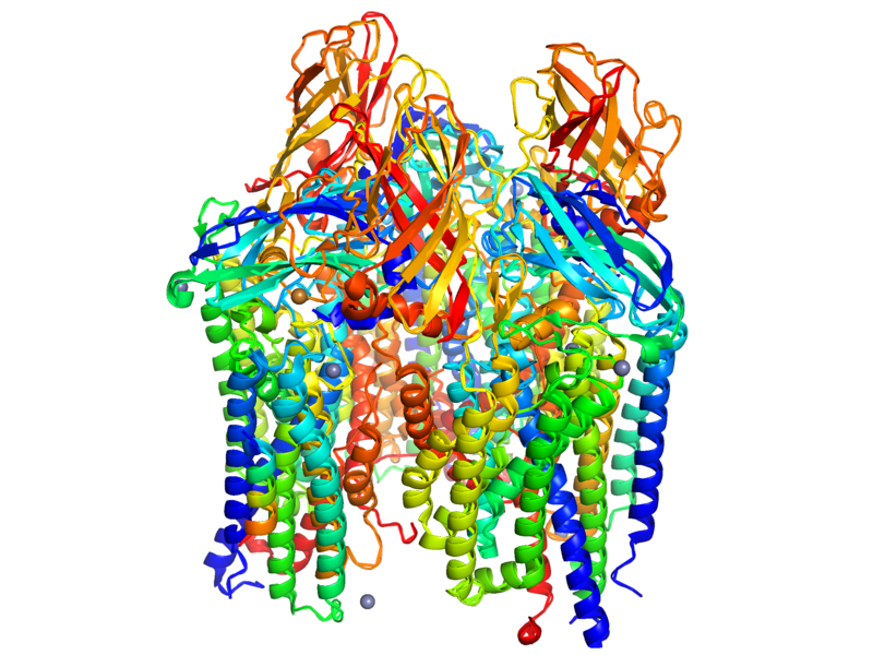 File:Particulate Methane Monoxygenase.png