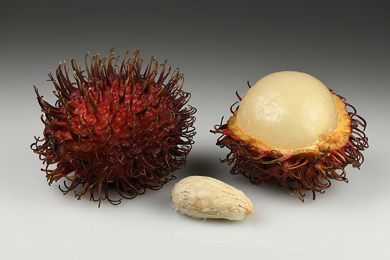 File:Rambutans with seed.jpg