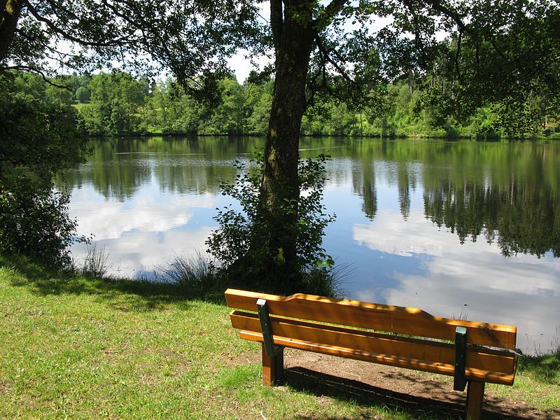 File:Schlüchtsee Grafenhausen.jpg