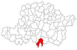 Location in Arad County