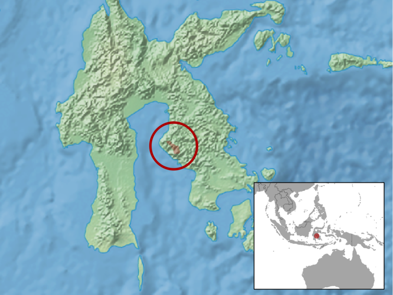 File:Taeromys microbullatus distribution.png