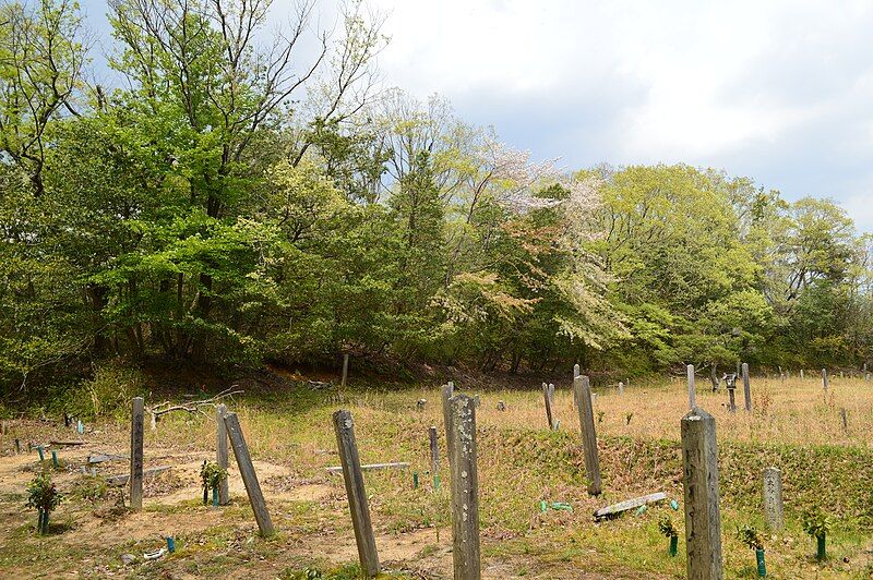 File:Tonozuka Kofun, funkyu.jpg