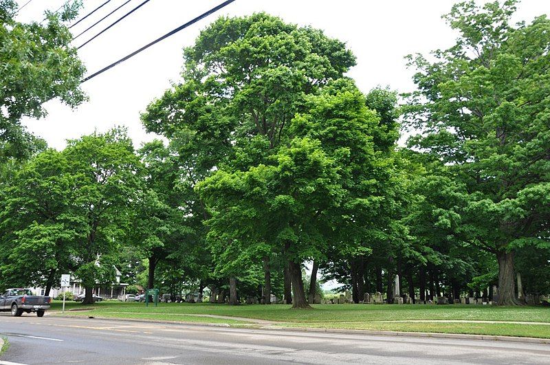 File:WestfieldNY Cemetery.jpg