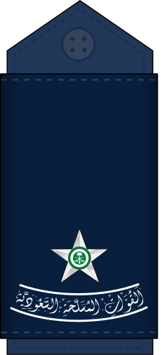 File:08.RSAF-2LT.svg