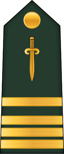 File:13.CAGF-MAJ.svg