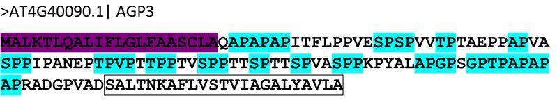 File:AGP sequence.tif