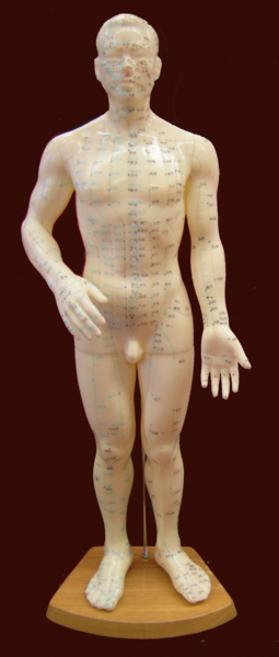 File:Archie McPhee acupuncture-hintergrundfrei.png