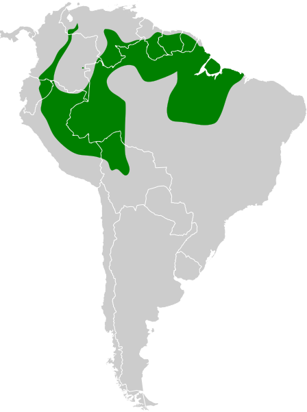 File:Automolus rufipileatus map.svg