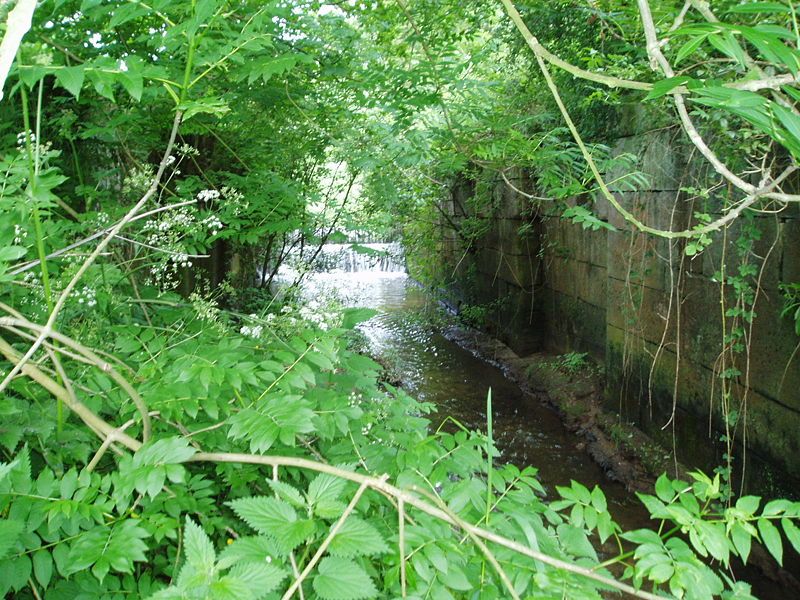 File:CaistorCanalDerelictLock5.JPG