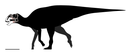 Coahuilasaurus