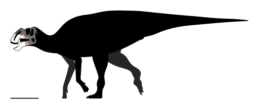 File:Coahuilasaurus Skeletal.svg