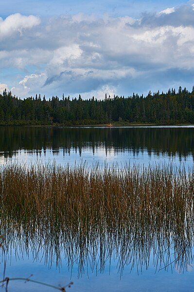 File:Coleman State Park.jpg