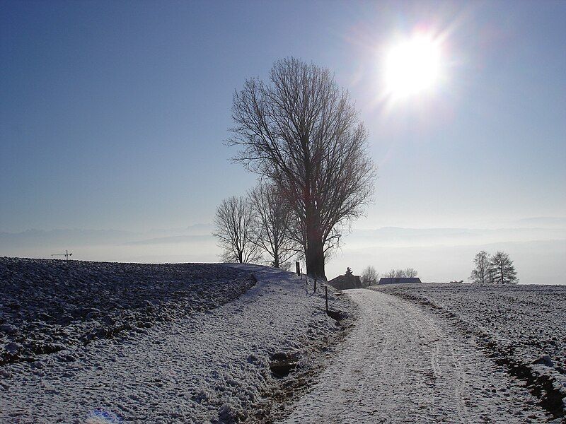 File:Countryside road winter.JPG