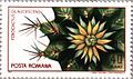 Postage stamp of Ferocactus glaucescens from Moldova