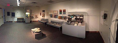 Fossil exhibit