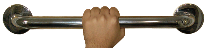 File:Grab Bar.png