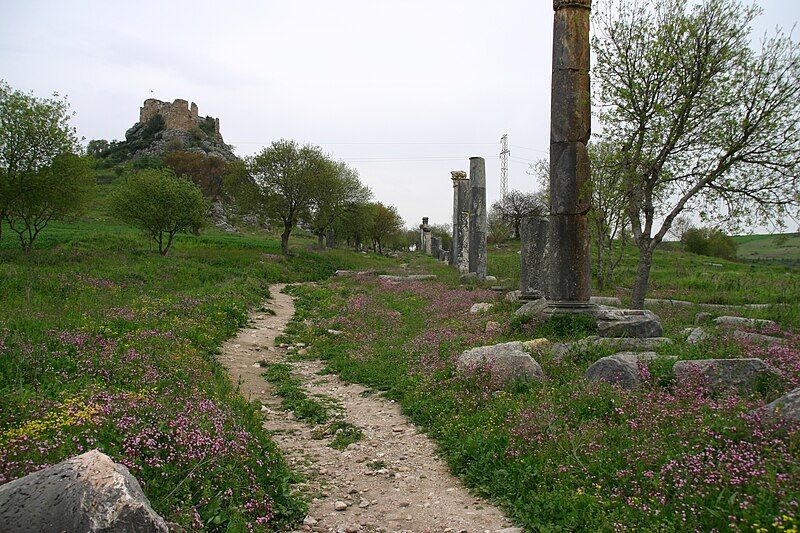 File:Hierapolis kastabala.JPG