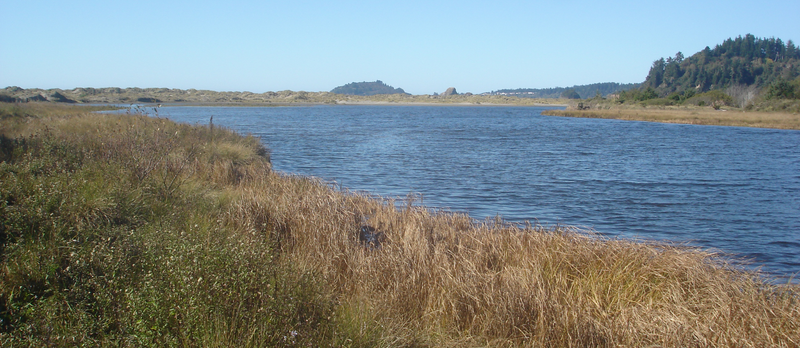 File:LittleRiverEstuaryAtLittleRiverStateBeach.png