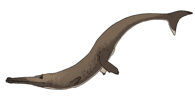 File:Maldictosuchus.png