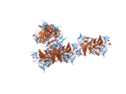 1zmd: Crystal Structure of Human dihydrolipoamide dehydrogenase complexed to NADH