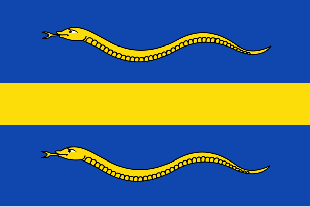 File:Pijnacker-Nootdorp vlag.svg