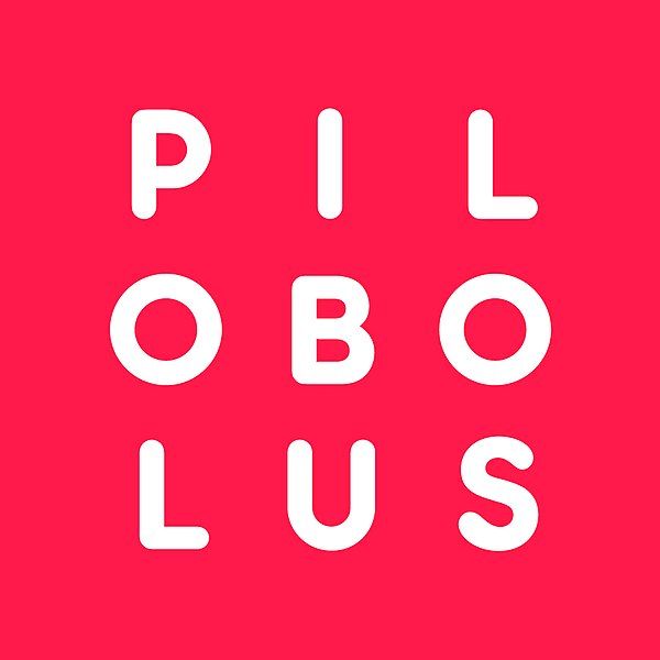 File:Pilobolus Logo.jpg