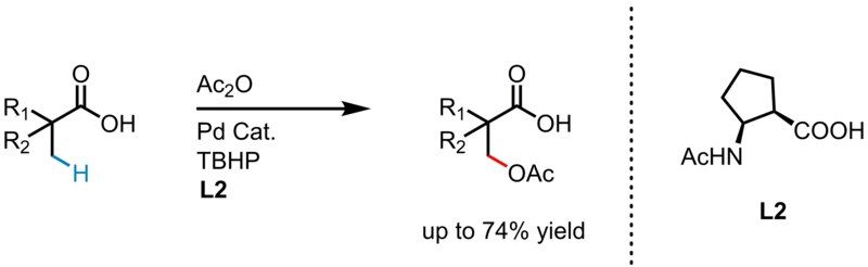 File:Reaction 10.tif