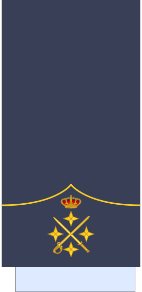 File:Spain-AirForce-OF-9 (Sleeve).svg