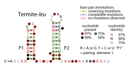 File:Termite-leu-RNA.svg