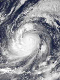 Typhoon Tip at its record peak intensity on October 12, 1979