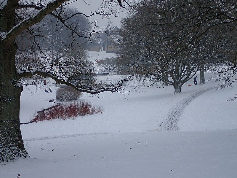 File:Universitetsparken (vinter) 01.jpg