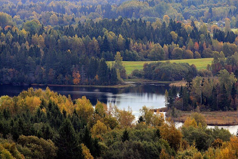 File:Vaskna järv Haanjas.jpg