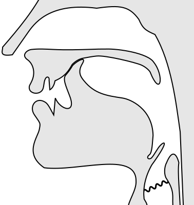 File:Voiced retroflex nasal.svg