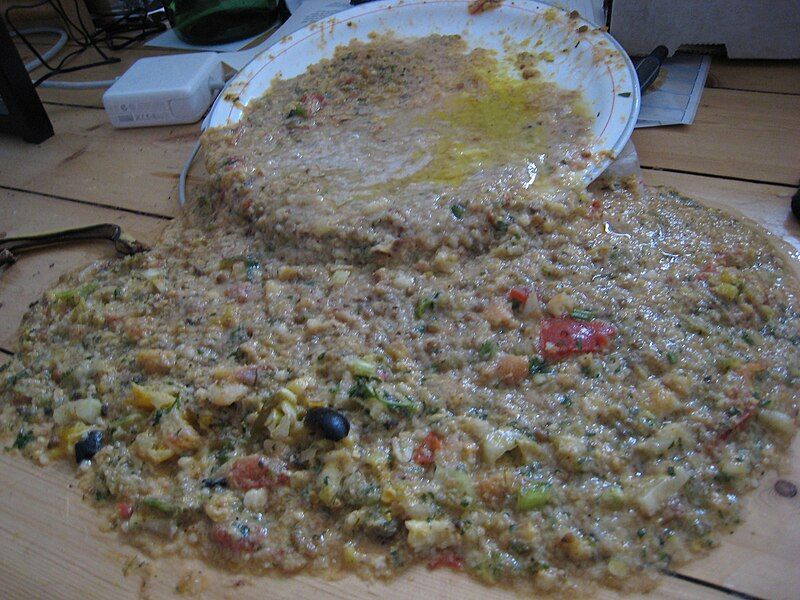 File:Vomit on plate.jpg